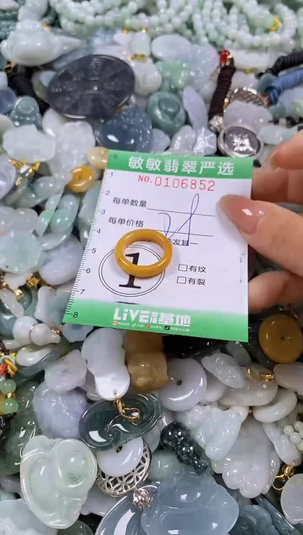 【闪购商品】翡翠颈饰未镶嵌闪购0106852