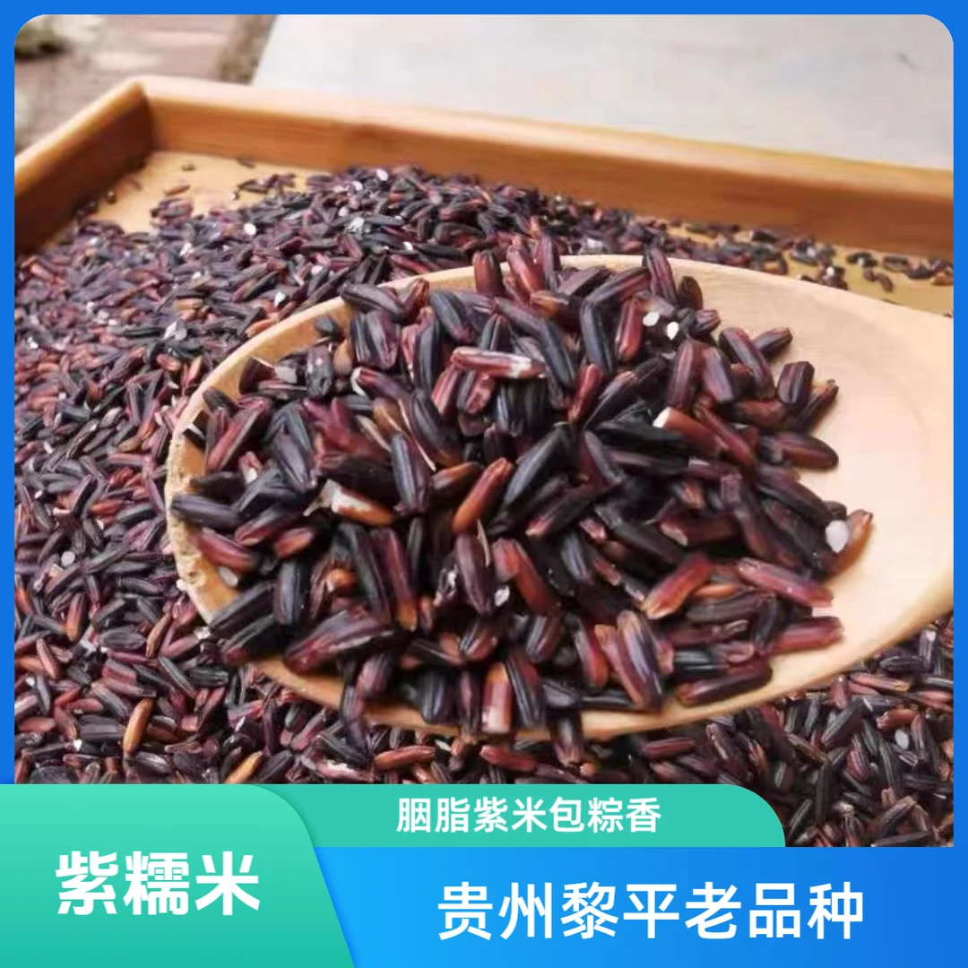 2025胭脂紫米农家米老品种包粽紫糯米贵州胚芽粥米新紫米粗粮杂粮