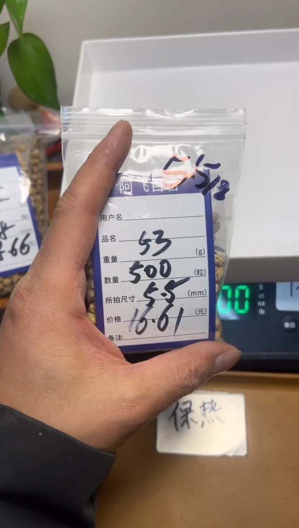 【闪购商品】柏香籽/百香籽吊坠16.61