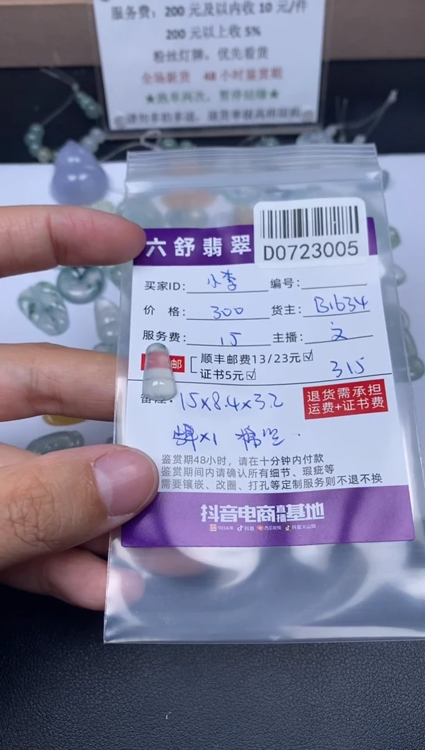 翡翠未镶嵌耳钉-****理D0723005