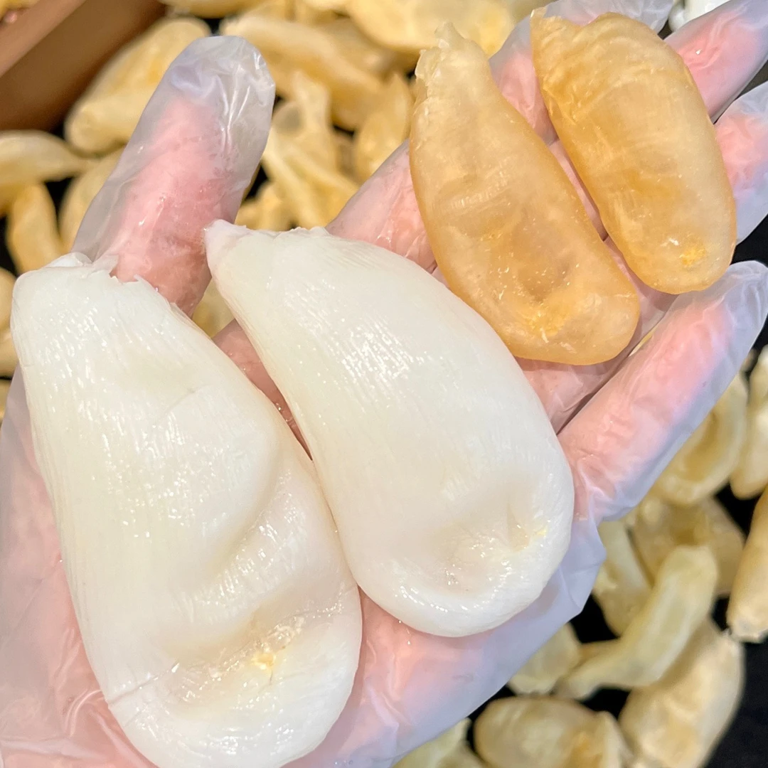 精选100头深海珍珠胶鱼胶花胶干货营养滋补适合孕妇煲汤炖煮