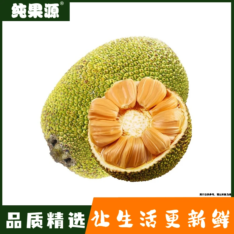 【纯果源小时达】黄肉菠萝蜜 （1斤装净肉/半颗装/整颗装）【如需劈开下单时请备注】