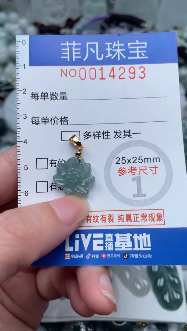颈饰未镶嵌翡翠14293