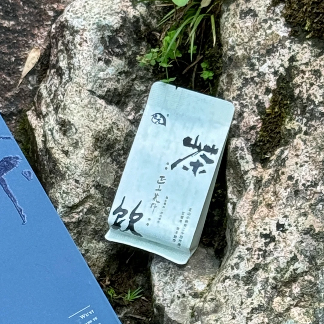 【单泡】正山荒野·桐木关正山小种野韵气息浓郁青苔味显著强推好茶