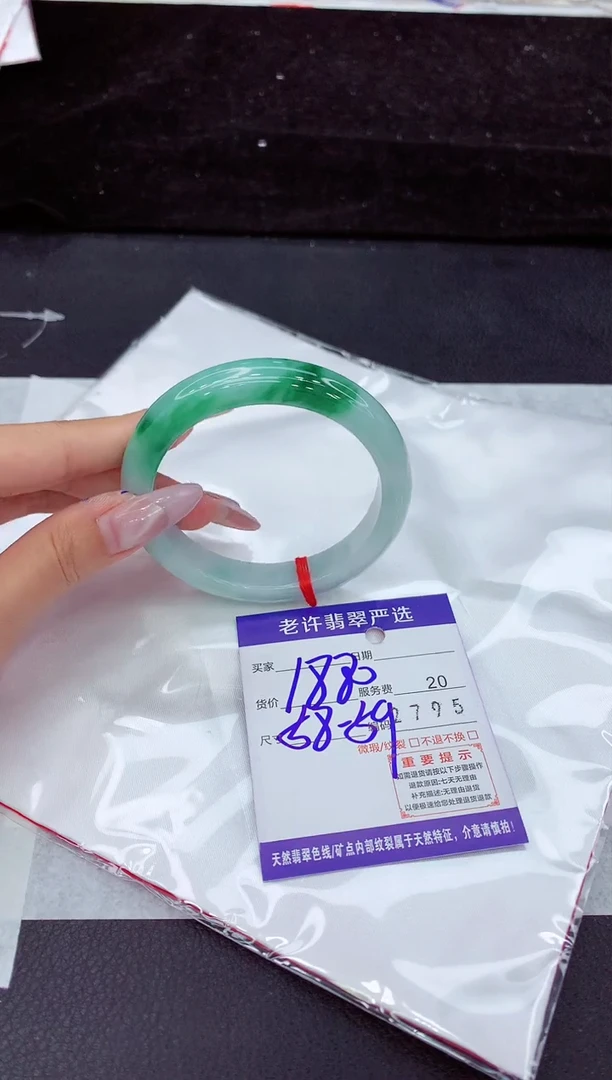 未镶嵌手镯翡翠1