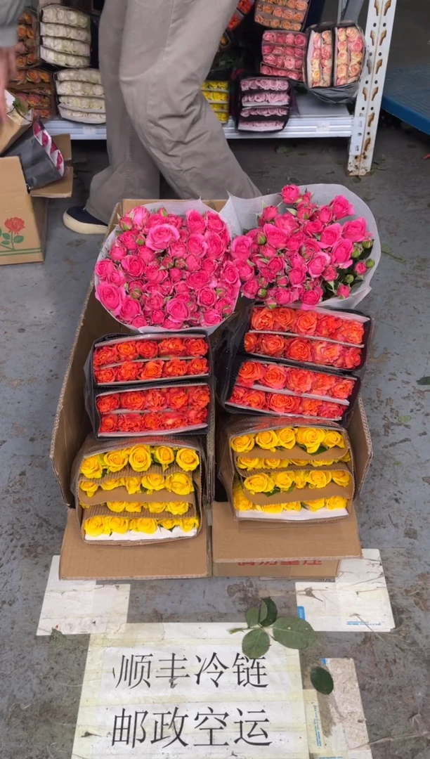 契机20枝+火灵鸟20枝+苏菲10枝