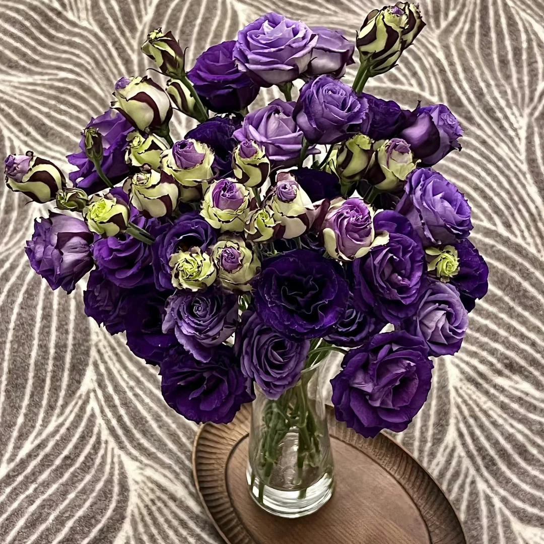 【云舍花卉】立深【暗香】洋桔梗 全场任意满两单及以上鲜花包邮发货