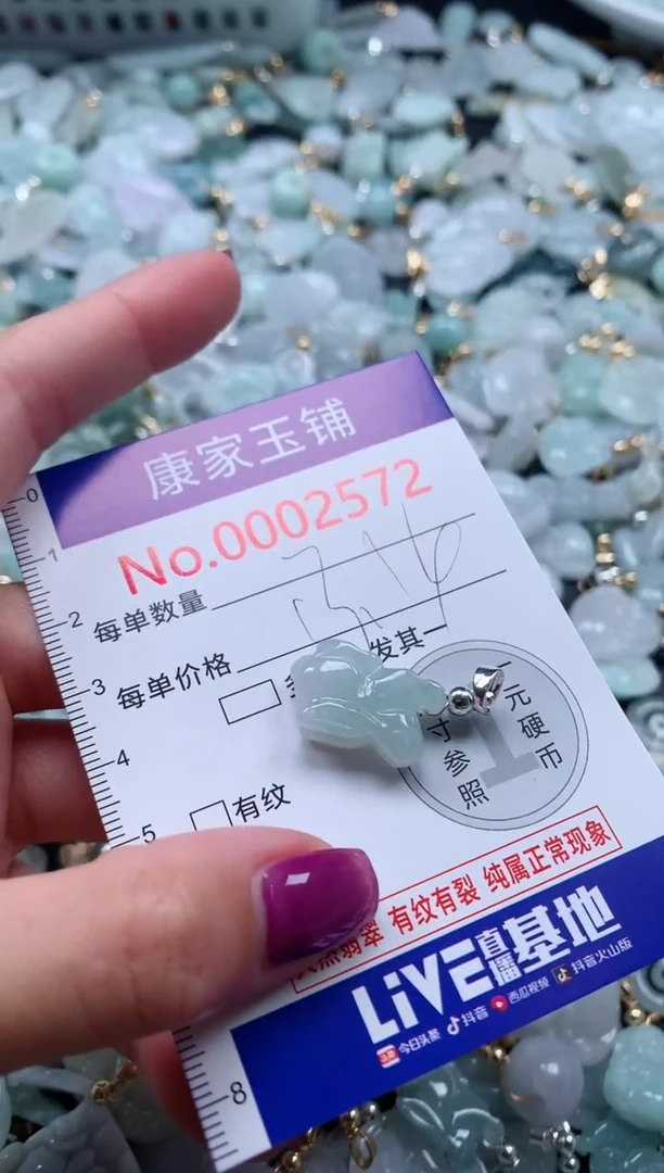 颈饰未镶嵌翡翠2572