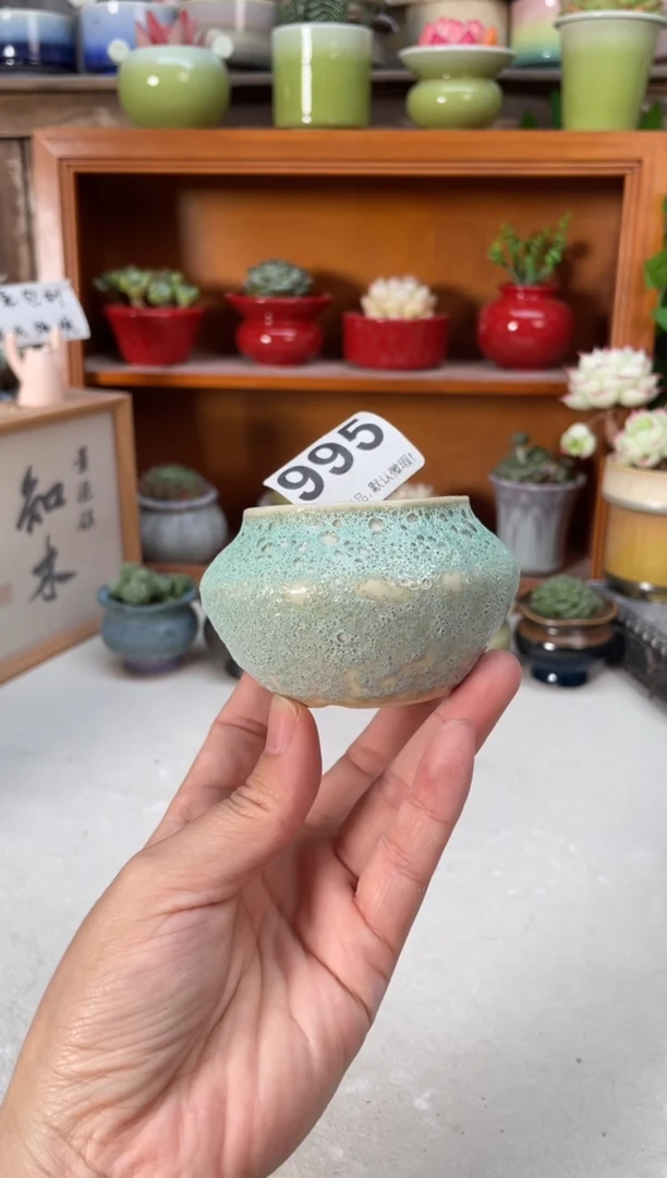 瓷片995小芳直播编号
