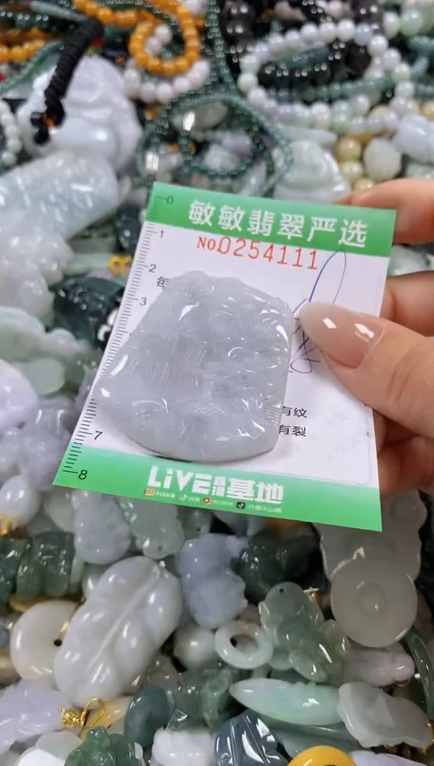 翡翠未镶嵌颈饰闪购0254111