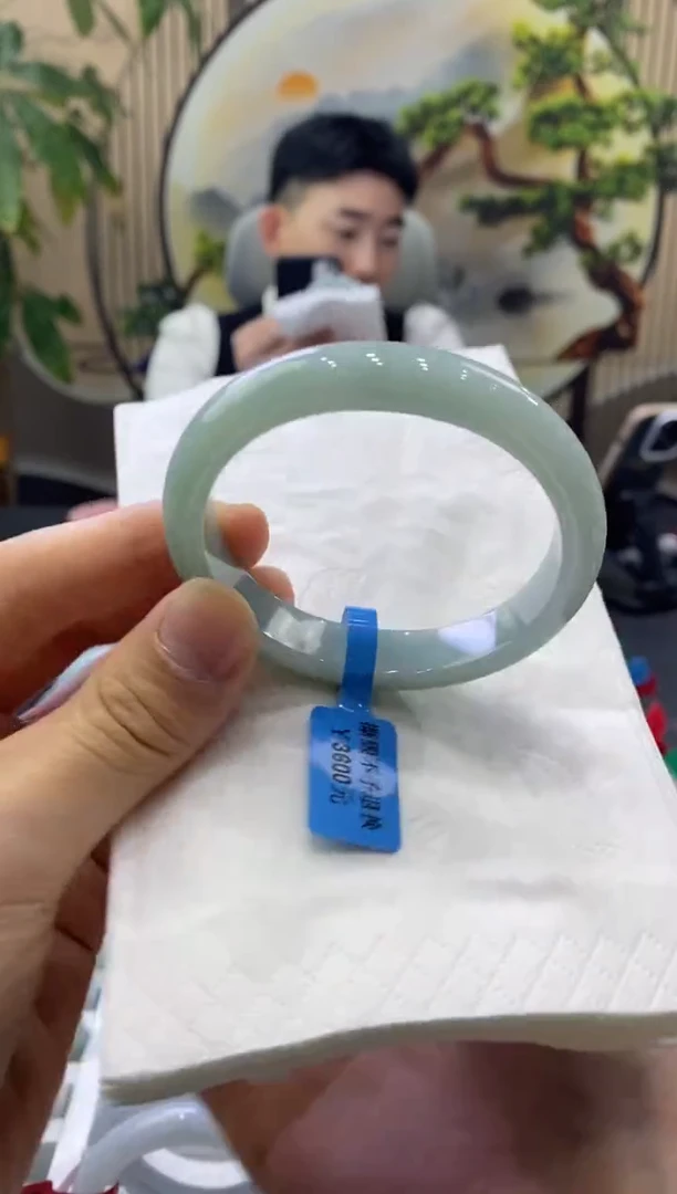 未镶嵌手镯翡翠0839