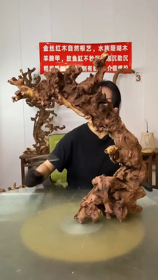 香榧木锦***庄金丝红木 羊蹄甲