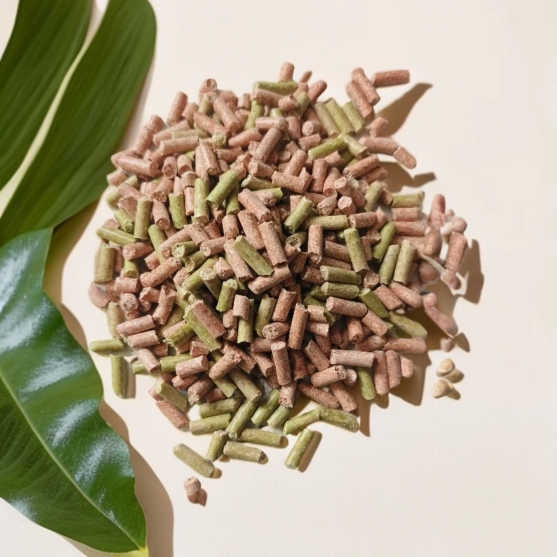 蒸煮发酵熟制大物蚕豆颗粒饵料野钓适用于黑坑青鱼老滑鱼回锅鱼