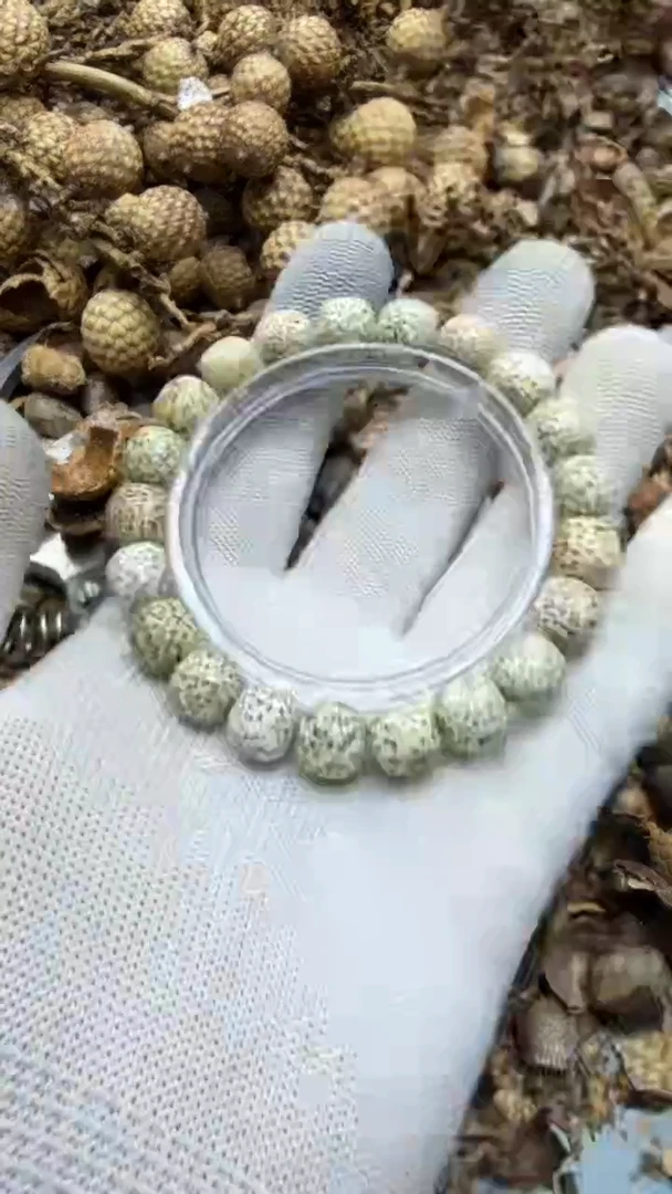 吊坠星月菩提青稞1号  单号  原生态   单圈