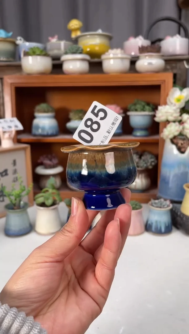 瓷片085小芳直播编号