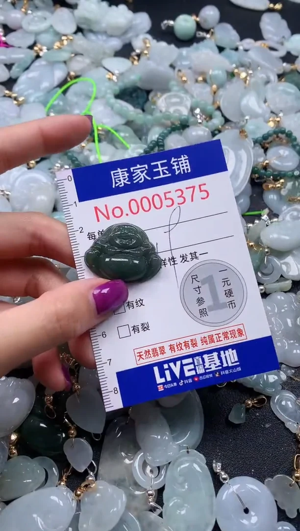 颈饰未镶嵌翡翠5375