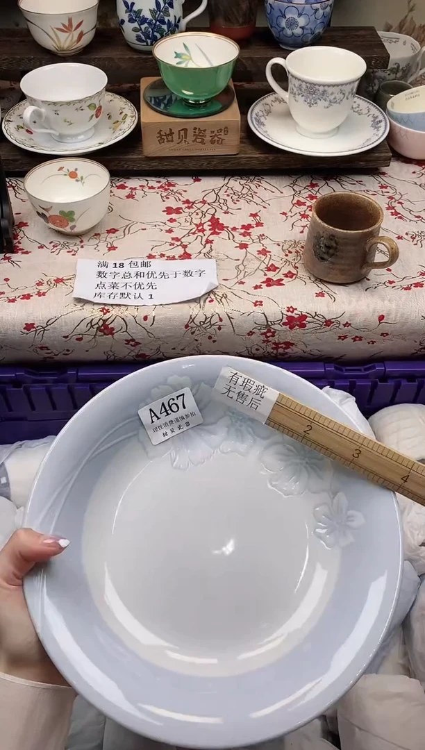 瓷片                A467