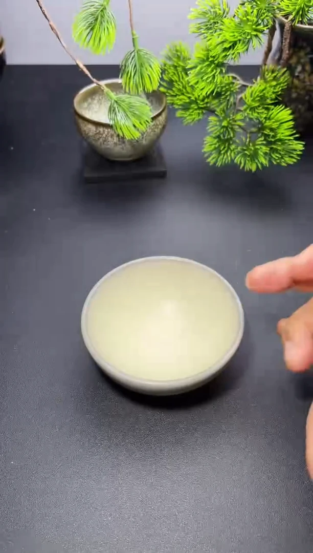 茶盏53叶紫建盏