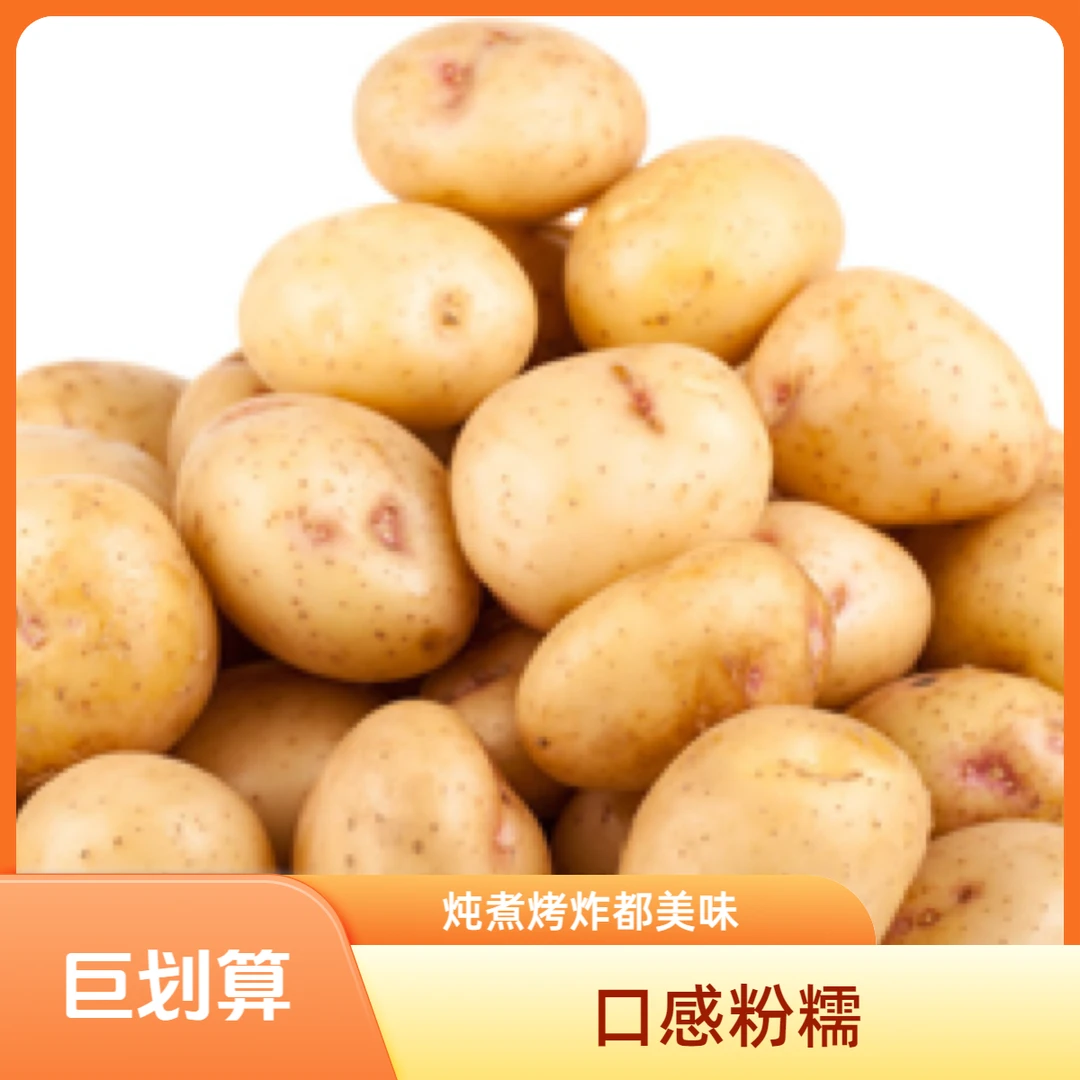 贵州农家本地老品种土豆