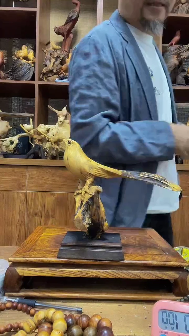 松木 定向 挣脱 定向 挣脱