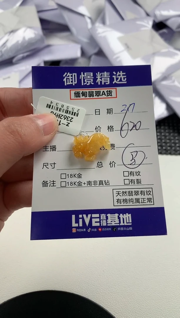 【闪购商品】翡翠颈饰未镶嵌32