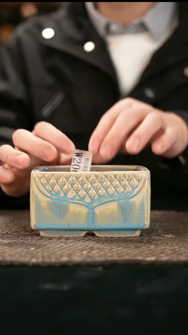 01-03-206花盆口径10*6