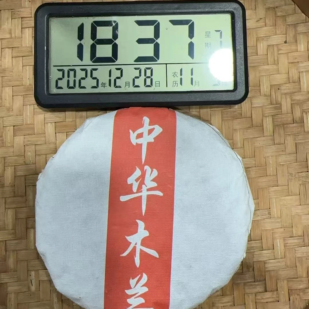 杨光甄选-2023年200克  中华木兰种   (春）普洱生茶饼