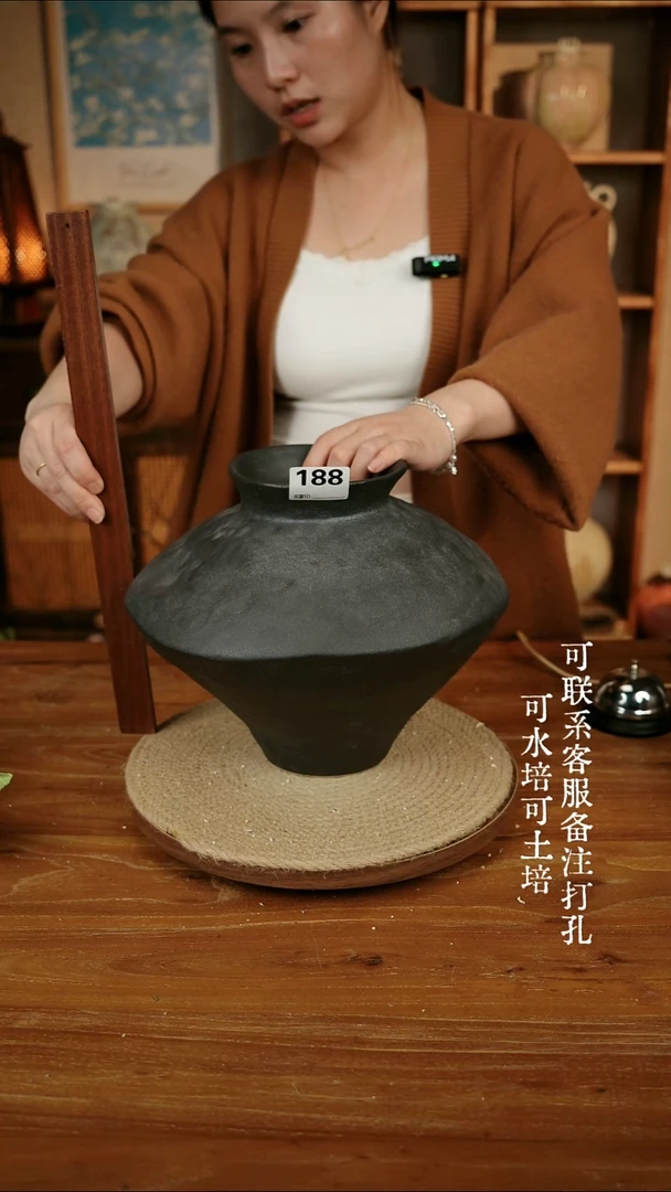 摆件188乌金黑色大飞碟瓶可水培可土培