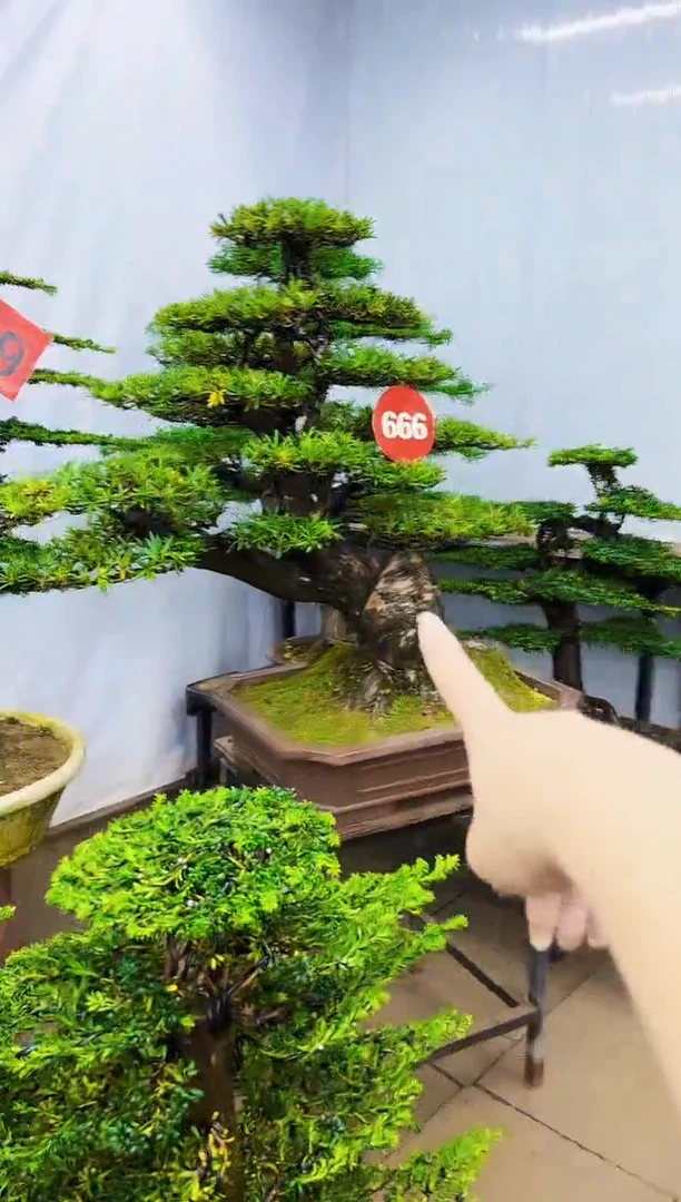 无花朵卿*海一物一拍，所见即所得