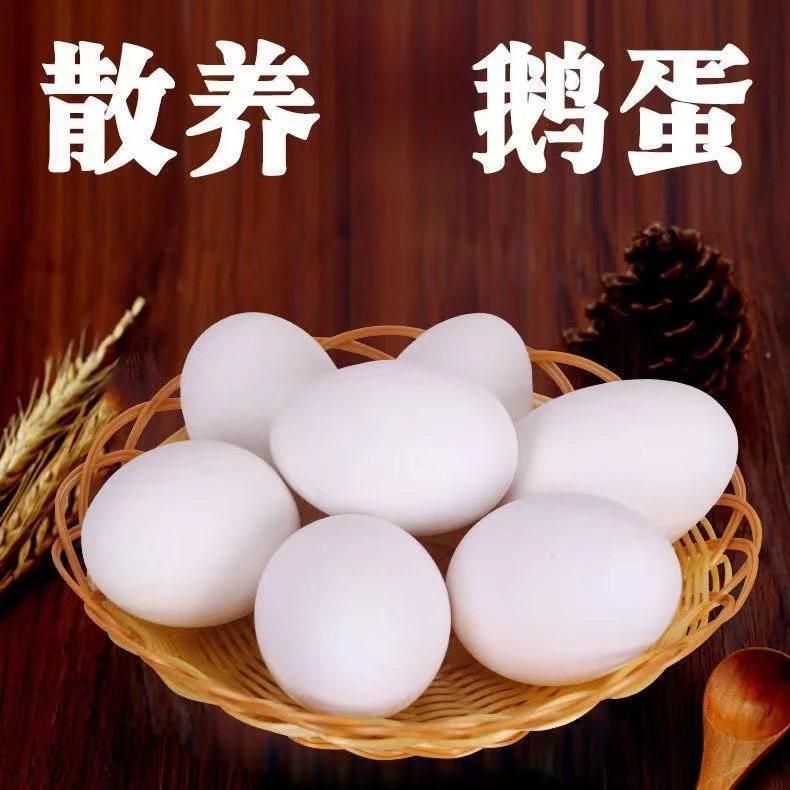 【雁鹅蛋】农家散养雁鹅蛋郎德鹅12枚单黄初生蛋80-100克包邮到家