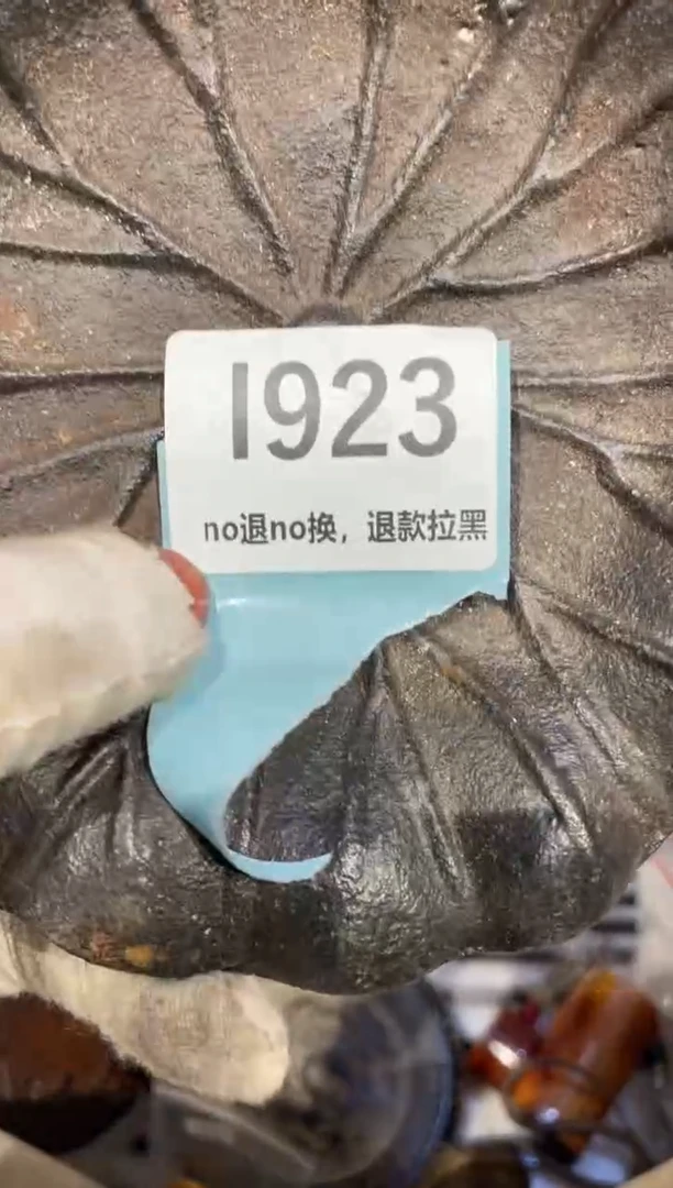 瓷片杨*表姐直播链接火爆热卖