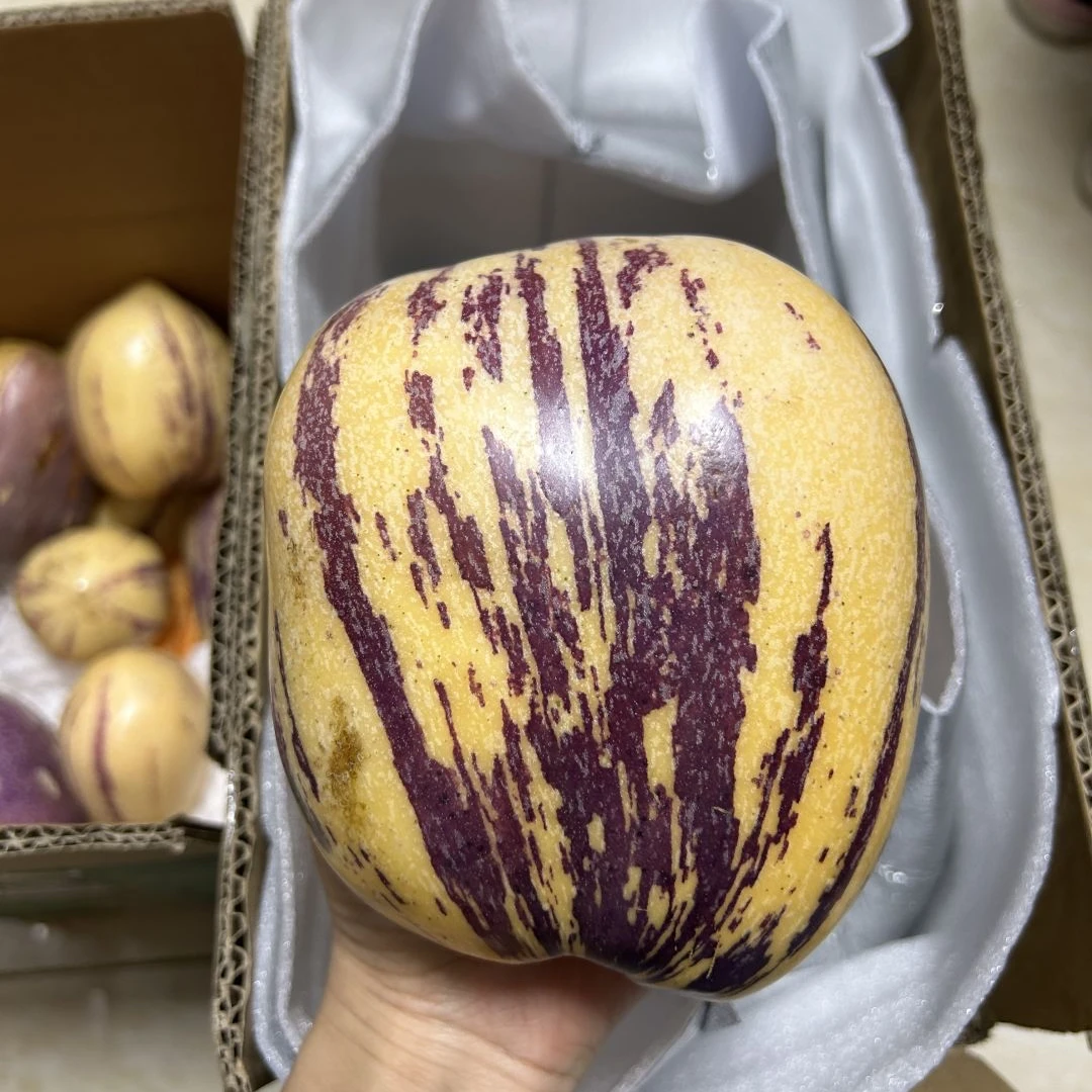 甘肃人参果新鲜水果民勤人参果2-5斤