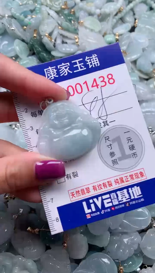 颈饰未镶嵌翡翠1438