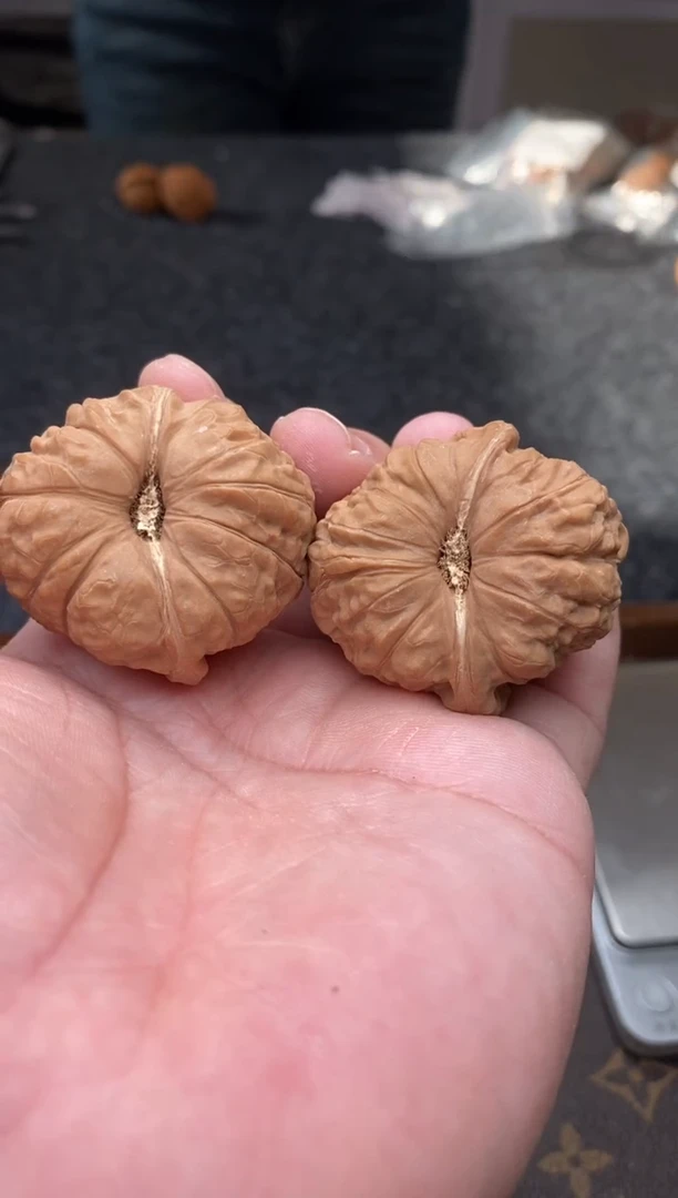 把件文玩核桃B274 号41尺南瓜墩