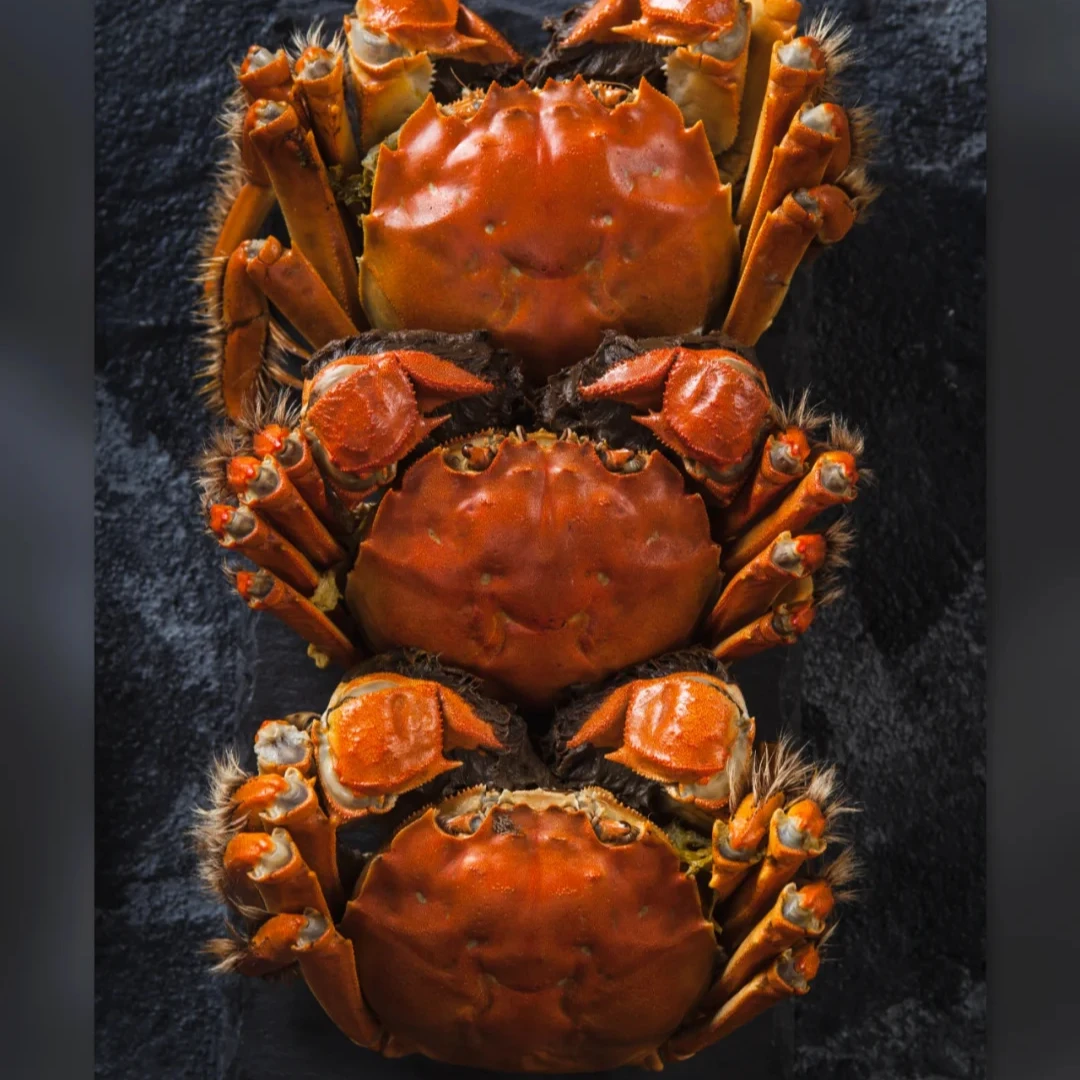 【活蟹】苏州大闸蟹公蟹4.0-3.7母蟹3.0-2.7两8只送2只 到手10只 H