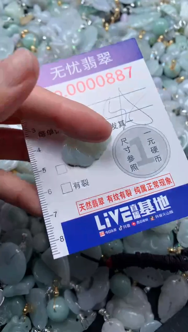 颈饰未镶嵌翡翠887