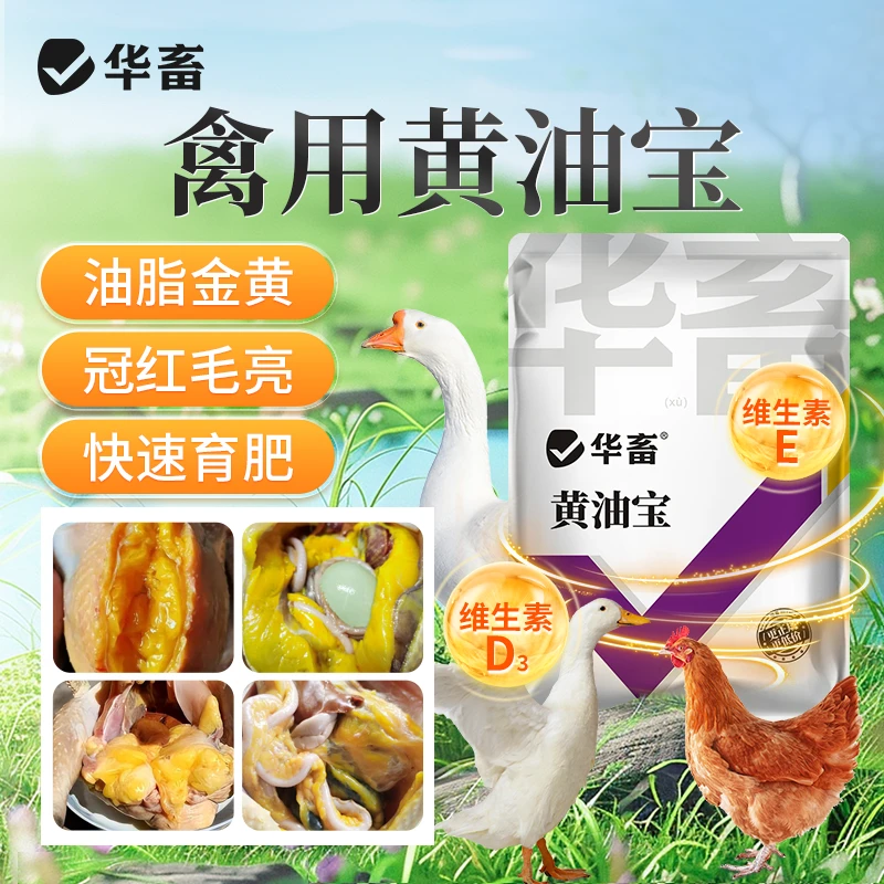 禽用油宝鸡鸭鹅腹腔油毛色亮丽快速出栏养殖专用饲料添加剂S