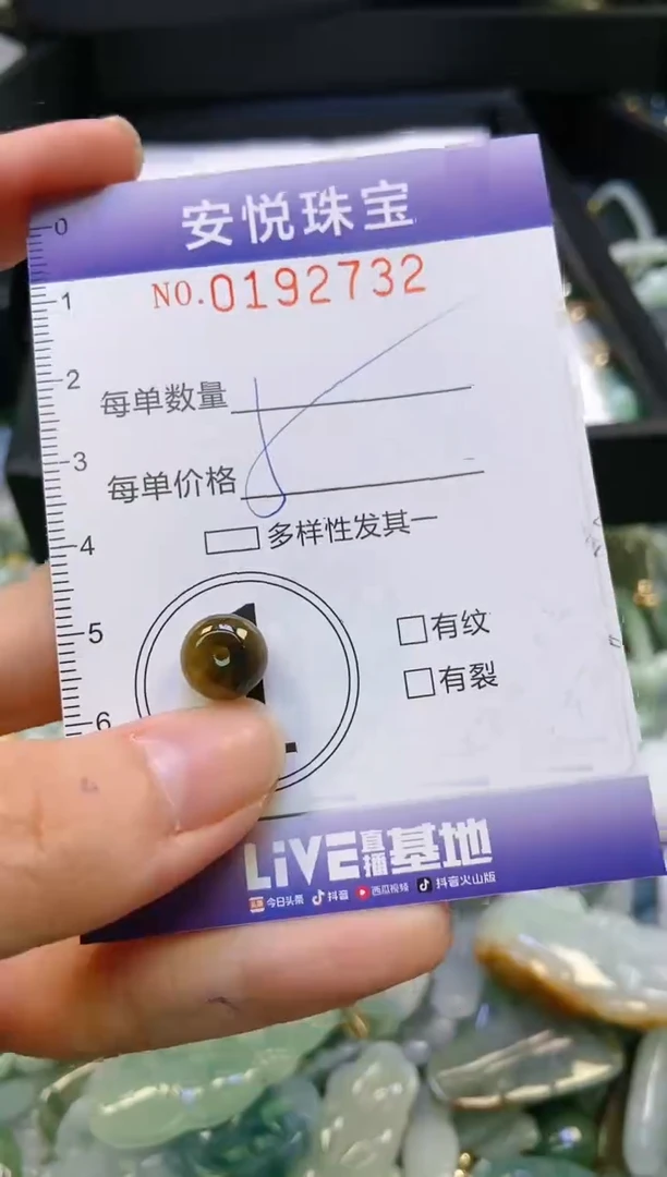 翡翠未镶嵌颈饰闪购0192732