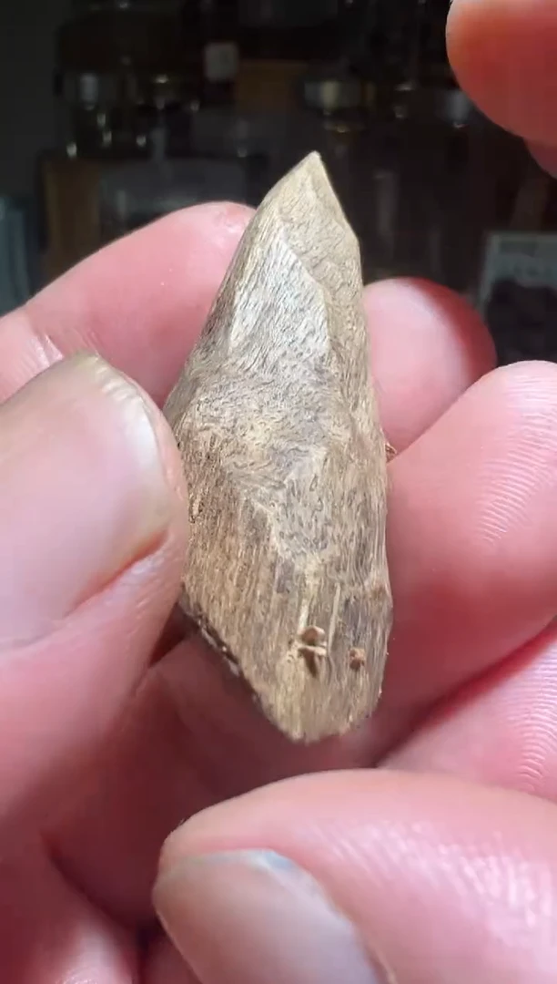 沉香碎屑沉香莱特4.3克