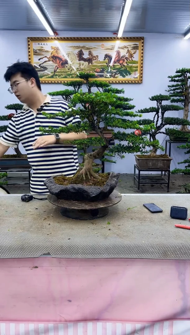 无花朵一物一拍，所见即所得