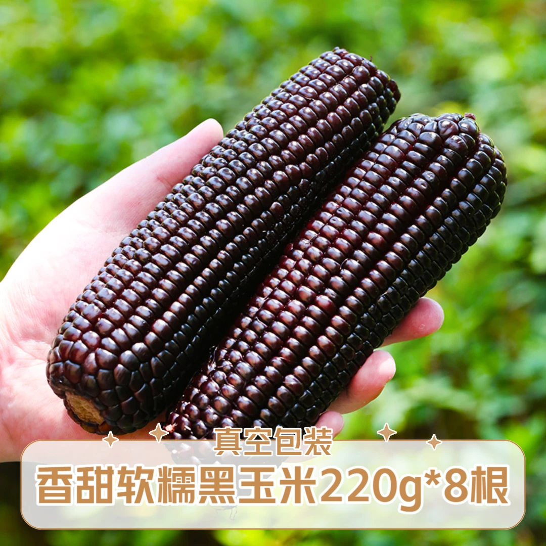 【黑糯玉米】 颗粒饱满香甜黏糯独立真空包装220g*8根速食方便早餐
