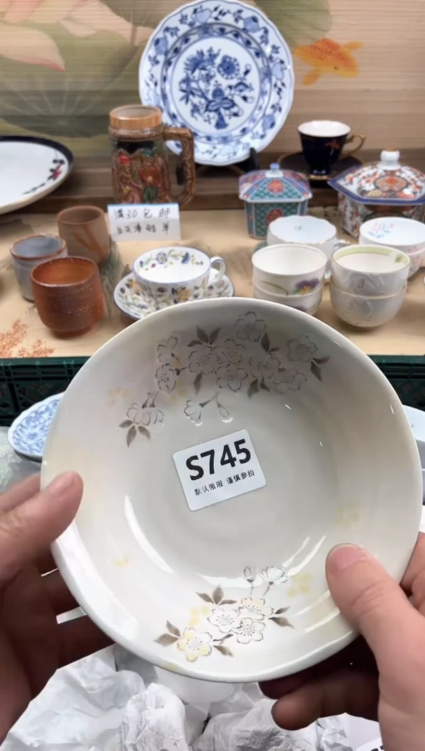 瓷片?**F745