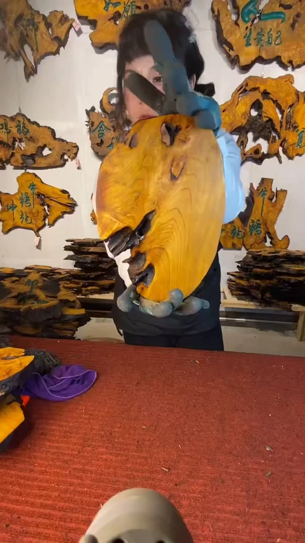 香杉木香杉树瘤壶承料