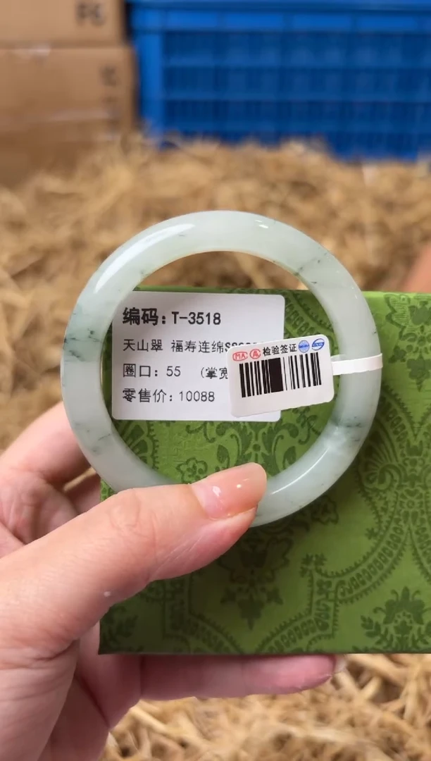 未镶嵌手镯石英质玉T-3518