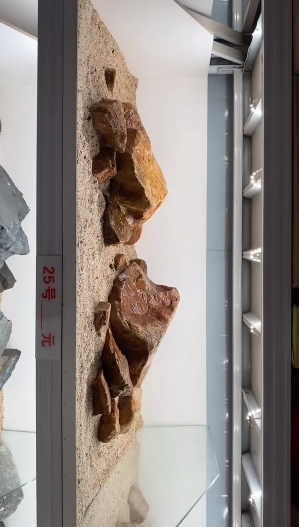 25号鱼缸造景（不含底砂）