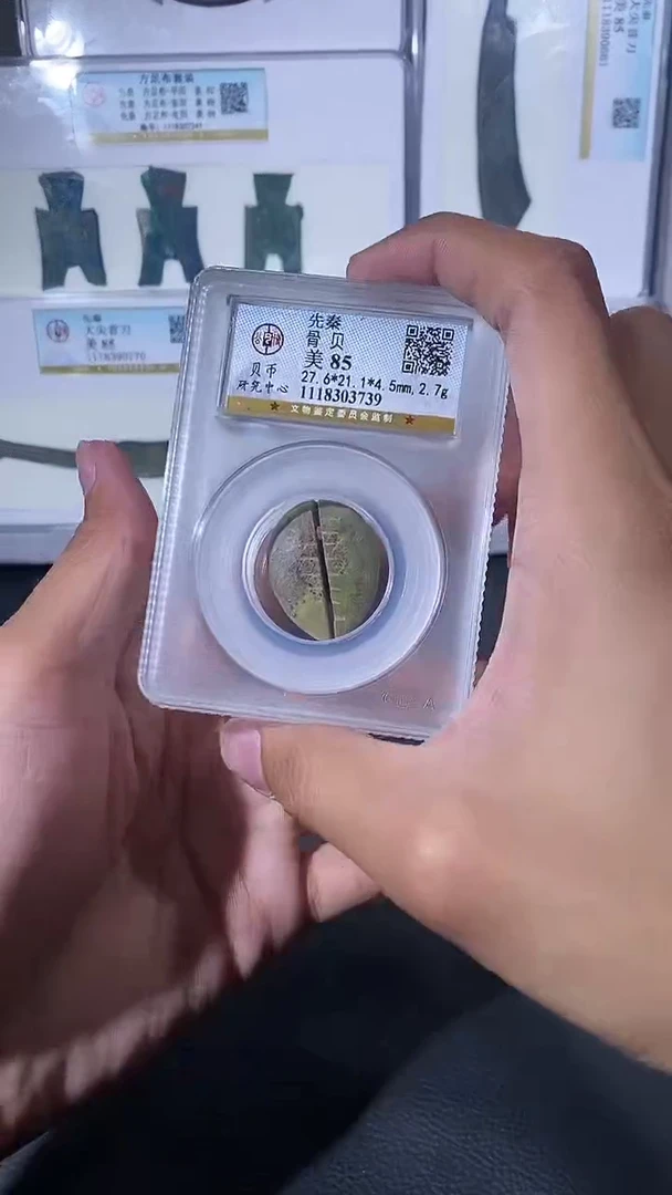 【闪购商品】铜琪珍骨贝骨贝一枚