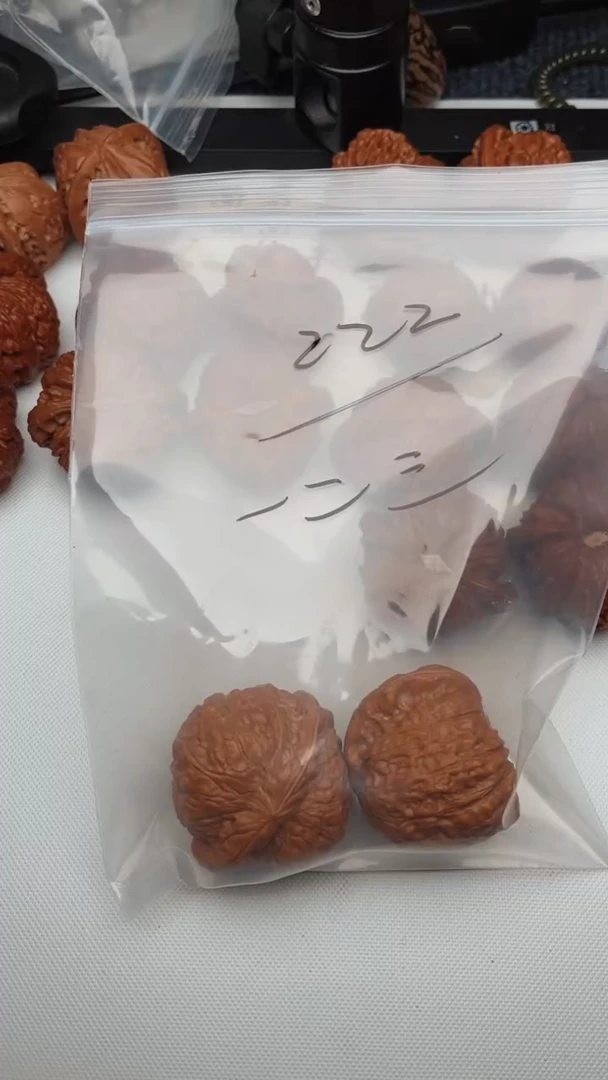 文玩核桃把件一*三0709争渡-一二三