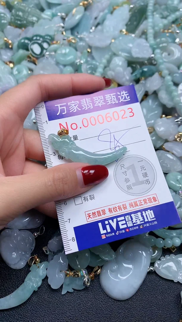 颈饰未镶嵌翡翠6023