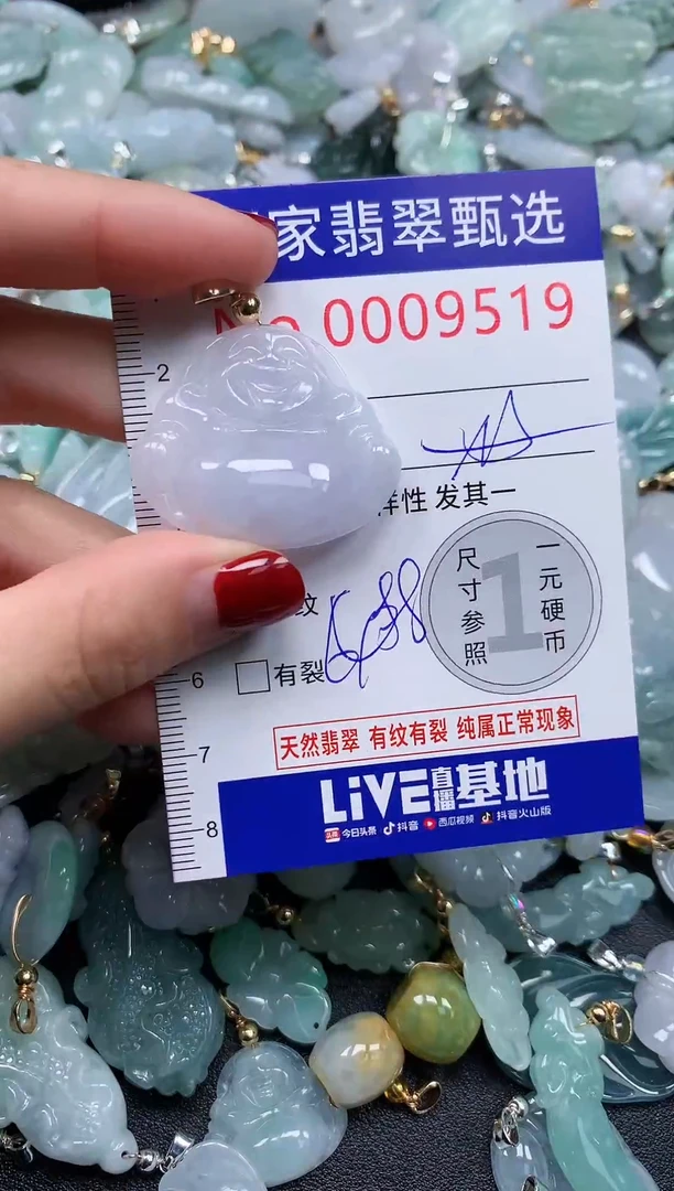 颈饰未镶嵌翡翠9519
