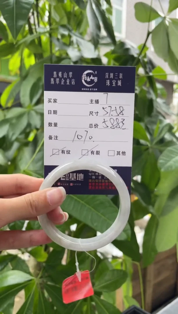 未镶嵌手镯翡翠Q 57正圈 1070